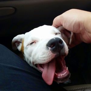 Meet your Posher, Cheryl